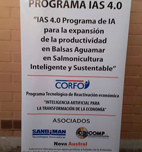 Pendón Roller 80x200 cm con lona PVC impresa para eventos y publicidad.
